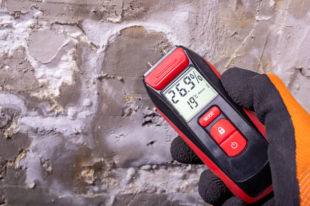 Best Mold Testing and Removal  in Fresno, TX