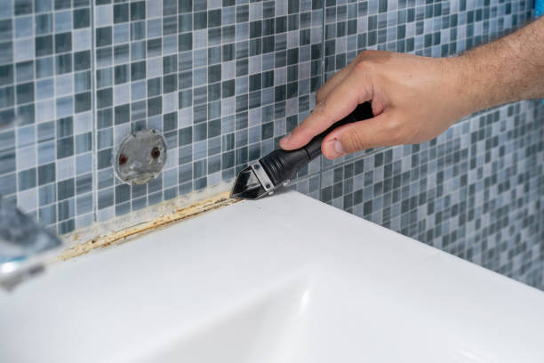 Best Certified Mold Removal  in Fresno, TX