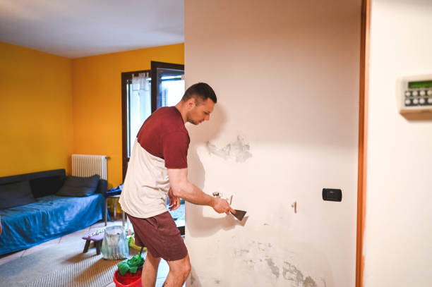 Best Mold Damage Repair  in Fresno, TX
